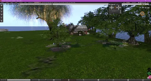 Scenic 1