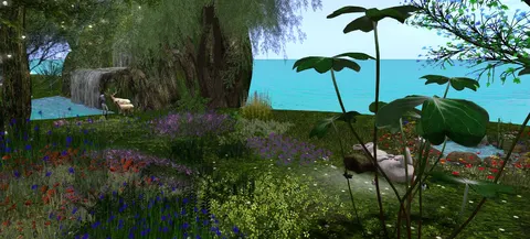 Scenic 29